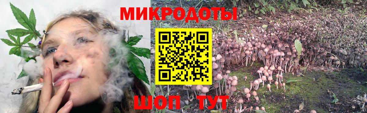 Псилоцибиновые грибы Cubensis Батайск